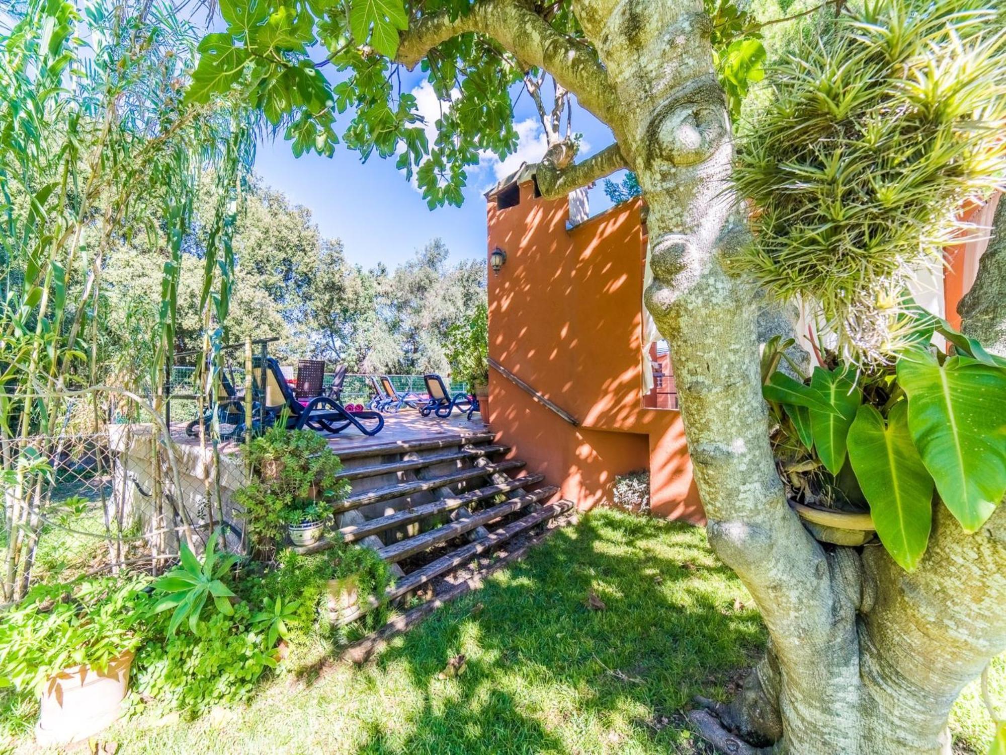 Finca In Mallorca With Private Pool Búger Εξωτερικό φωτογραφία